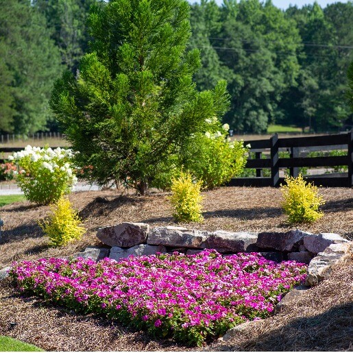 Professional Flower Bed Landscaping Install in McDonough