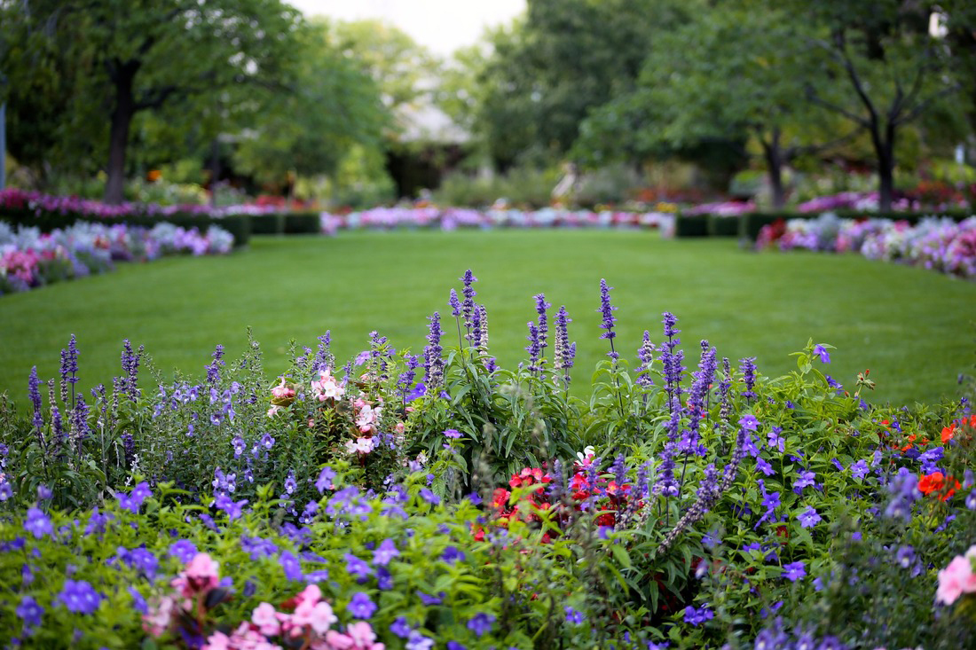 Flowering Perennials and Manicured Lawn